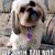 Callaway Carpet Cleaning's profile image