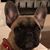 Judy Klinger's profile image