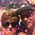 Elvira Puzzo Nass's profile image