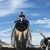 Chris Hicks's profile image