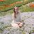 Caroline O'Dowd's profile image