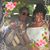 Debbie Mazuras's profile image