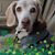 Teresa Bechtold Dills's profile image