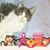 Sylvia Ratliff Carpenter's profile image