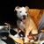 Natasha Wilson Day's profile image