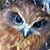 Patricia Davis's profile image