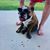 Amanda Sanson's profile image