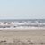Dawn Harvey Kirkpatrick's profile image