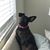 Maggie Zayas's profile image