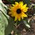 Jo Anna Bricker's profile image