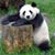 Kay Louise Simpkins's profile image