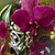 Gloria Pennington's profile image