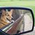 Cathy A Hartman's profile image