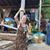 Marion Roberts's profile image