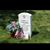 Todd Collins's profile image