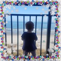 Sarah Brigham's profile image