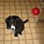 Nancy Clark-Breidenstein's profile image