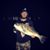 Thomas Craig Monroe's profile image