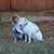 Melanie Becker's profile image