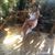 Doris Lopez's profile image