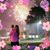 Vicki J Reiser's profile image