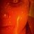 Kayla White's profile image