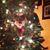 Penny Sabatino's profile image