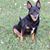 Melda Walker Goodin's profile image