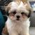 Mai D. Razon's profile image