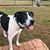 Emily S. MacMurchy's profile image