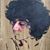 Adela Navarrette's profile image