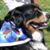 Patricia Terri Glorioso Argentieri's profile image