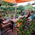 Shelia Bagwell's profile image