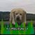 Billie Jo O'Bryant's profile image