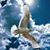 Blanca Castelo's profile image