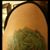 Michelle Robinson's profile image