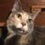 Jeanne Rutan's profile image