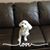 Linda Lewis Verstraten's profile image