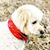 Bianca McGivern Boettcher's profile image