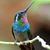 Stephanie Smyth's profile image
