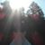 Stacey Williams's profile image