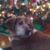 Michelle Holley Williams's profile image