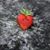 Dawn Kane Rascher's profile image