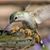 Debra Vanderbeck's profile image