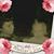 Debbie LeMunyon Moriconi's profile image