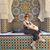 Rosa Maria's profile image
