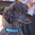 Carol Cunningham's profile image