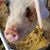 Betty Anderson's profile image