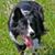 Gwenn LeFever's profile image