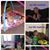 Connie Michelle Moreno's profile image